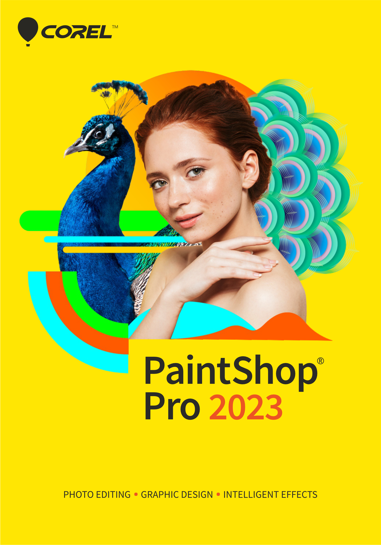 Corel PaintShop Pro 2023 Graphic editor 1 license(s)