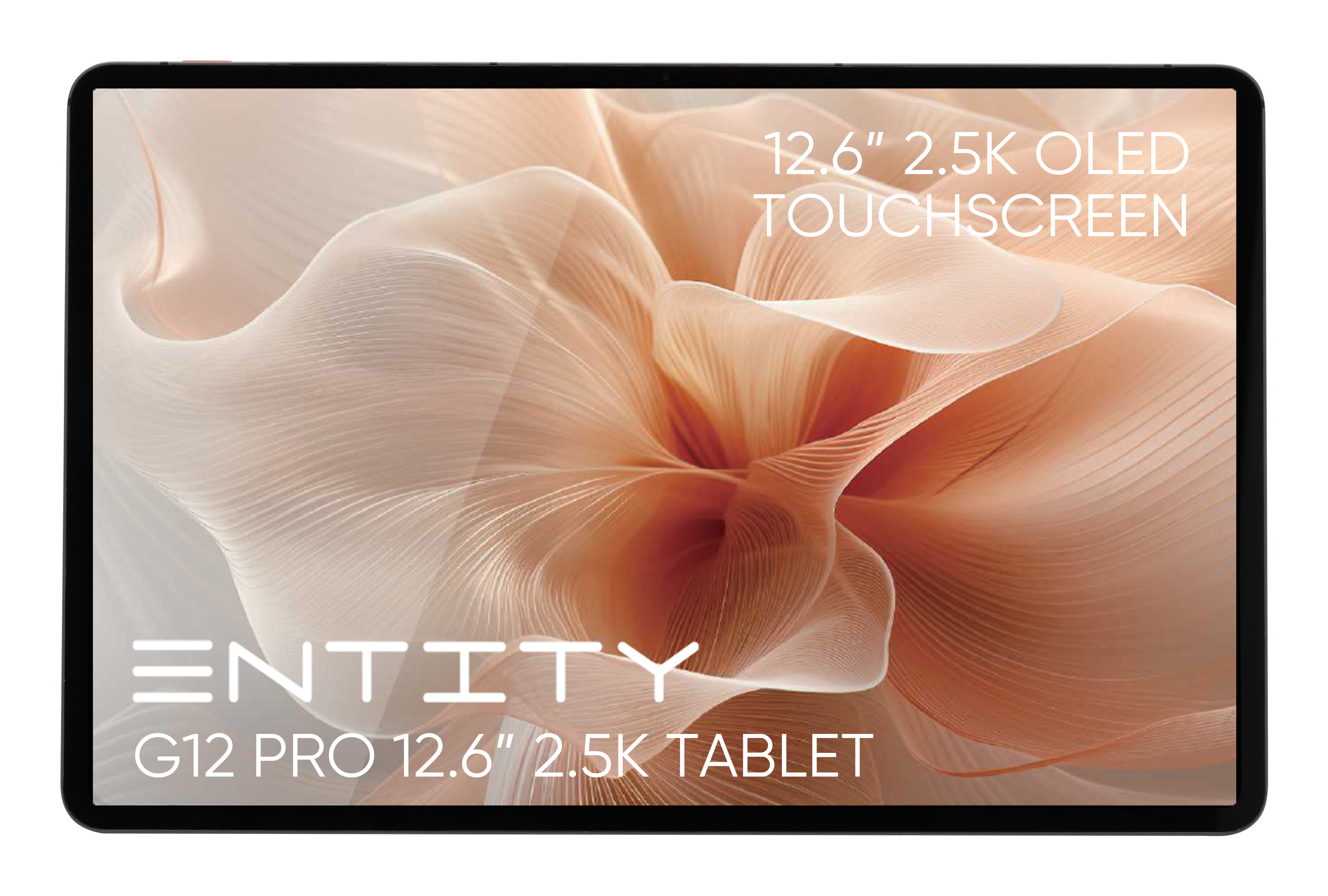 Entity G12 Pro Mediatek 8 GB 32 cm (12.6") 128 GB Android 14 Grey