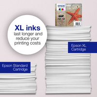 Epson Singlepack Black 603XL Ink