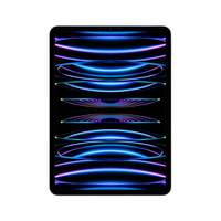 Apple iPad Pro 4th Gen 11in Wi-Fi + Cellular 256GB - Silver