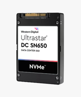 Western Digital Ultrastar WUS5EA1A1ESP5E3 U.3 15.4 TB PCI Express 4.0 3D TLC NAND NVMe