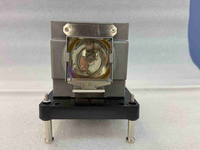 Diamond Lamps Lamp for DIGITAL PROJECTION EVISION 1080P-8000:EVISION 8000:EVISION WUXGA-8000 Projector