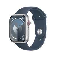 Apple Watch Series 9 (Demo) 45 mm Digital 396 x 484 pixels Touchscreen 4G Silver Wi-Fi GPS (satellite)