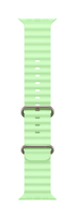 Apple Natural Titanium Finish Band Green Fluoroelastomer, Titanium