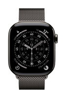 Apple MGJ14ZM/A smart wearable accessory Band Slate colour Stainless steel