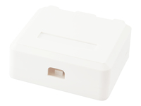 Equip 2-Port Keystone Jack Surface Mount Box