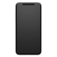 OtterBox Trusted Glass Series for Apple iPhone 11/XR, transparent - No retail packaging