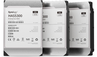 Synology HAS5300-12T internal hard drive 12 TB 7200 RPM 256 MB 3.5" SAS