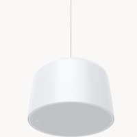 Axis 02389-001 loudspeaker 1-way White Wired