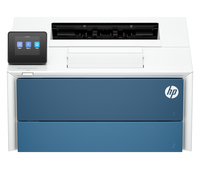 HP LaserJet Pro 4007dw Printer