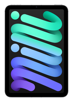 Apple iPad mini 7th Gen 8.3in Wi-Fi+Cellular 256GB - Grey