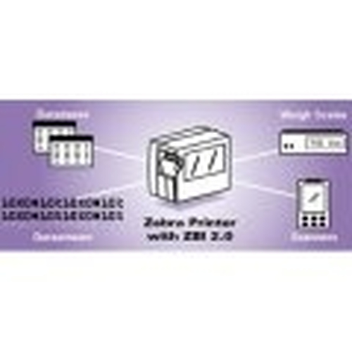 Zebra ZBI 2.0 Development software