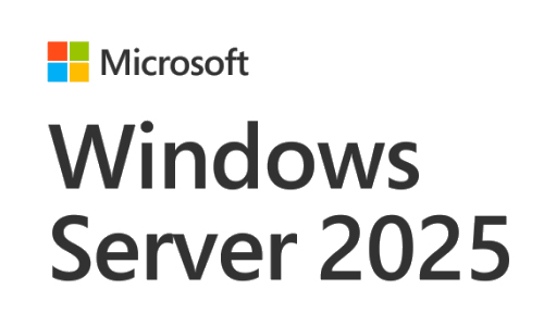 Microsoft Windows Server 2025 Standard Client Access License (CAL) 1 license(s)