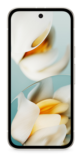 Google Pixel 9a 16 cm (6.3") Dual SIM Android 15 5G USB Type-C 8 GB 128 GB 5100 mAh Grey