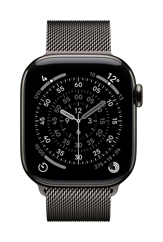 Apple MGJ14ZM/A smart wearable accessory Band Slate colour Stainless steel