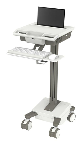 Ergotron M021-0101-100000-1-0 All-in-One PC/workstation mount/stand 19.5 kg White, Grey 43.2 cm (17")