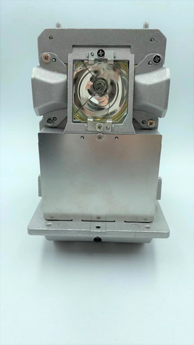 Diamond Lamps Lamp for CHRISTIE D12HD-H:D12WU-H Projector