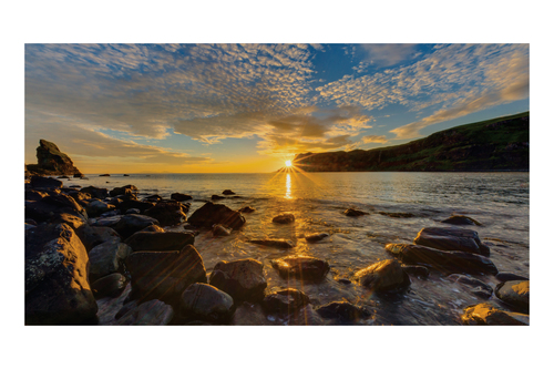 Samsung IF015R LED Indoor