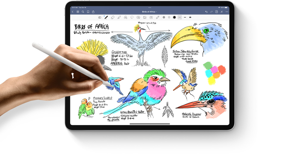 Take amazing notes with Apple Pencil.